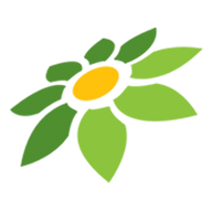 TOKOPEDIA AFILIASI